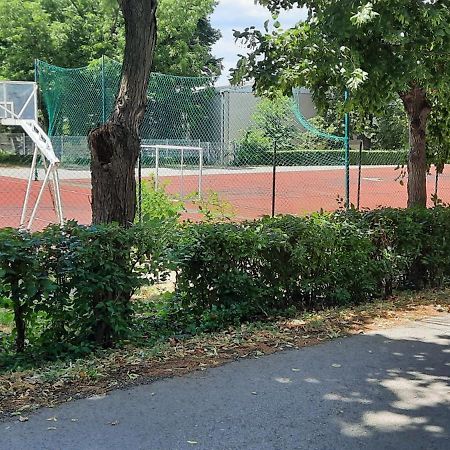 Stan Na Dan Dunja 1 Apartamento Vrsac Exterior foto